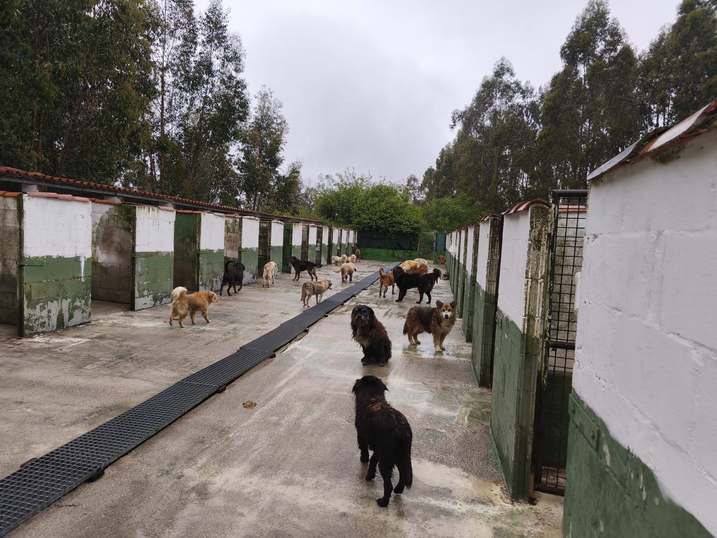 Refugio Asís